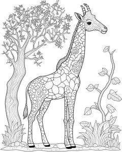 Zoo Animals coloring page